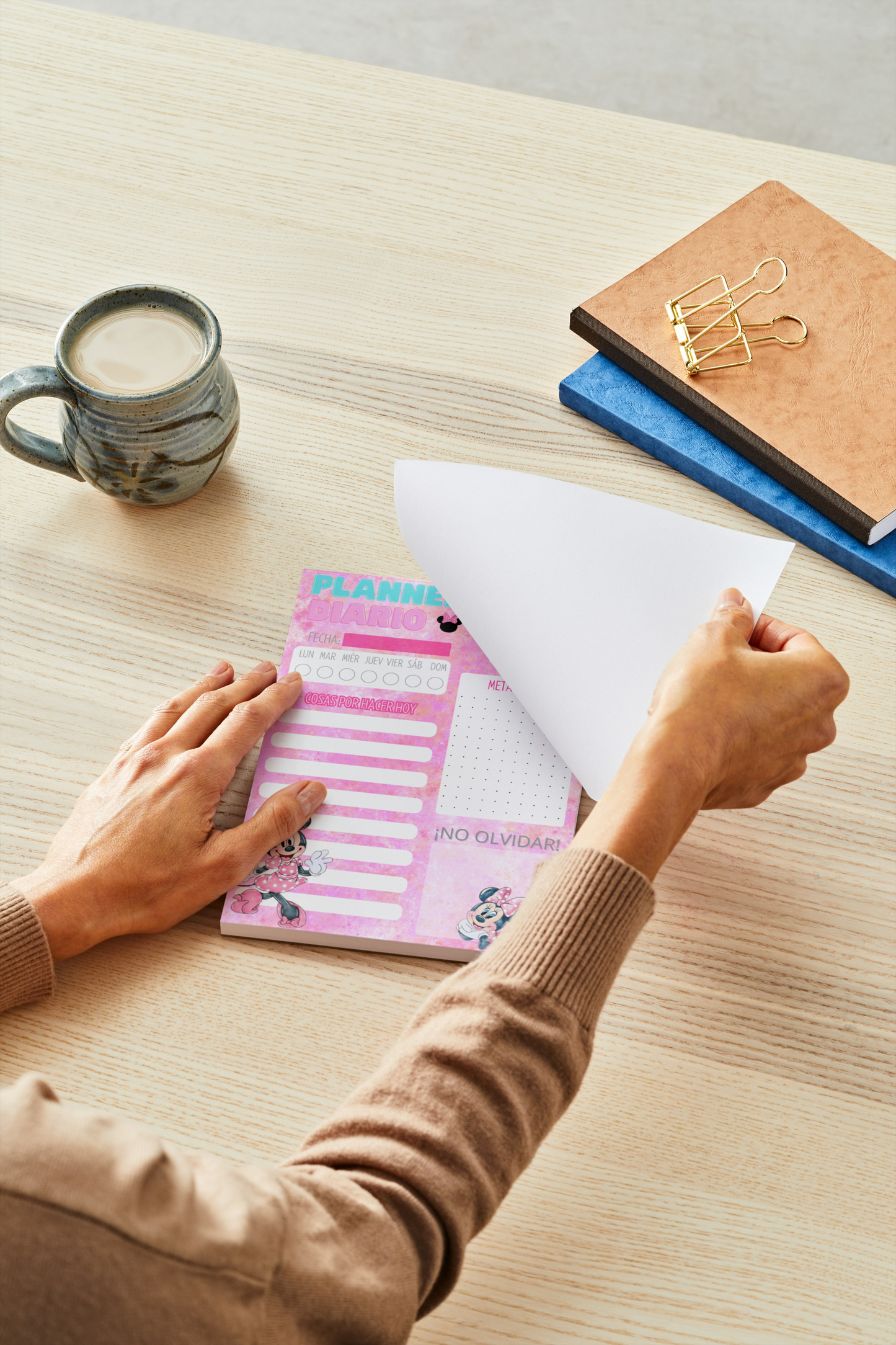 Planner Diario Minni Mouse